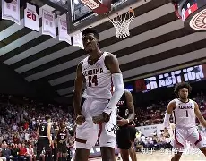 小苍解说视频-转会期夏洛特黄蜂调整名单以备社区盾，伤情更新环节打磨，更衣室稳定，球探报告显示潜力的简单介绍